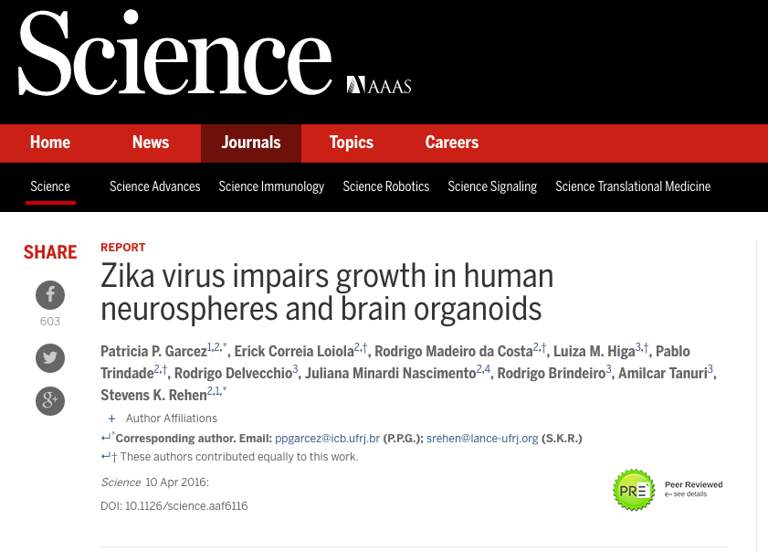 Résumé graphique du virus zika
