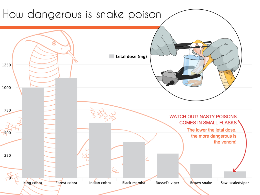 hoe gevaarlijk is slangengif11883