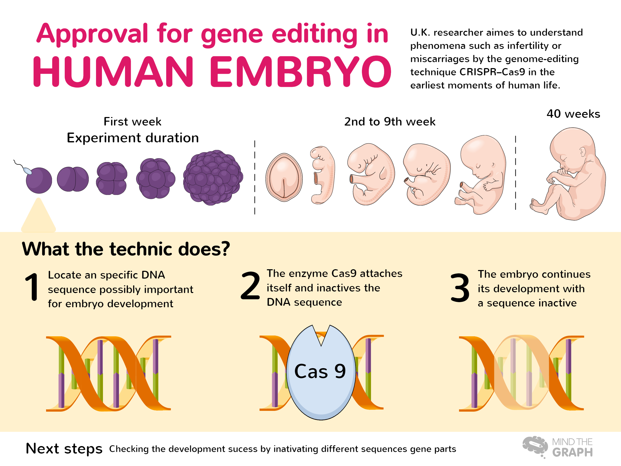 infografico_cas9_embrione_umano