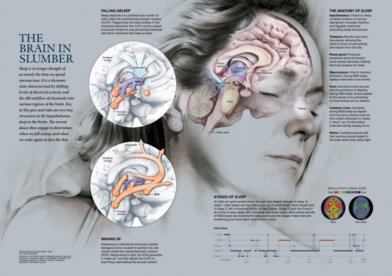 The best infographics from National Geographic