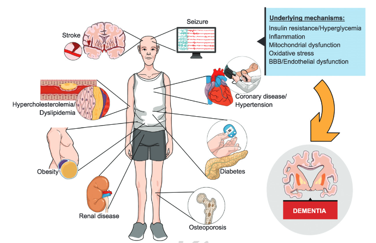 infografica sulle neuroscienze