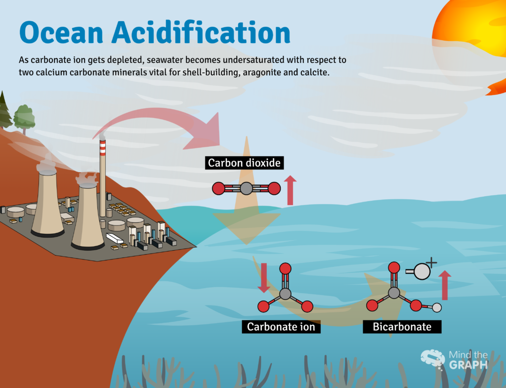 acidificazione degli oceani