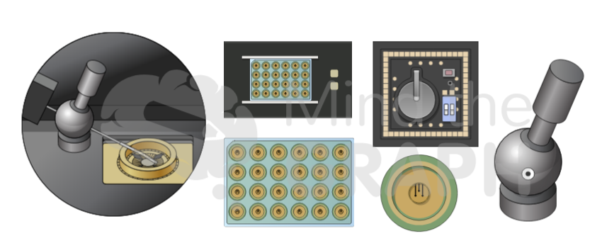 Microelectrode arrays (MEAs) 