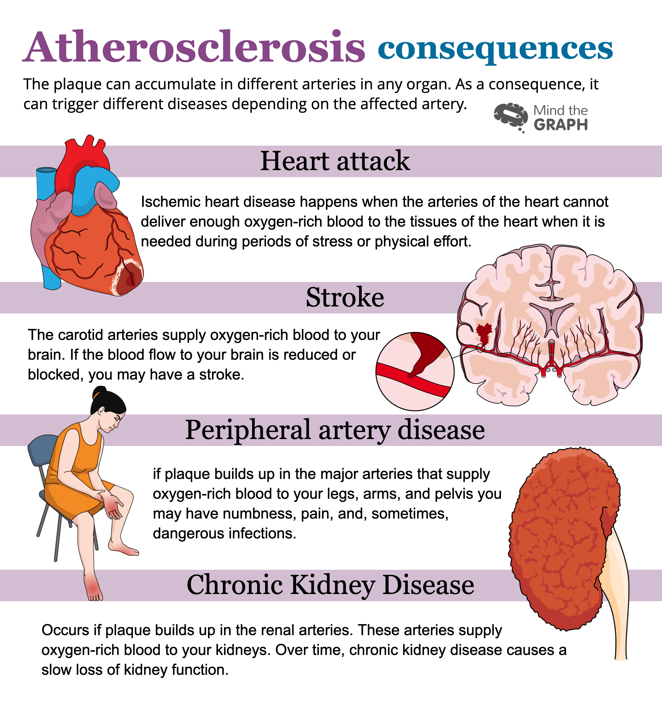 atherosclerosis 1