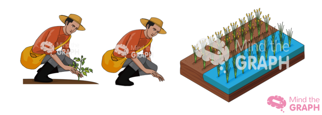 ilustração do agricultor e da plantação