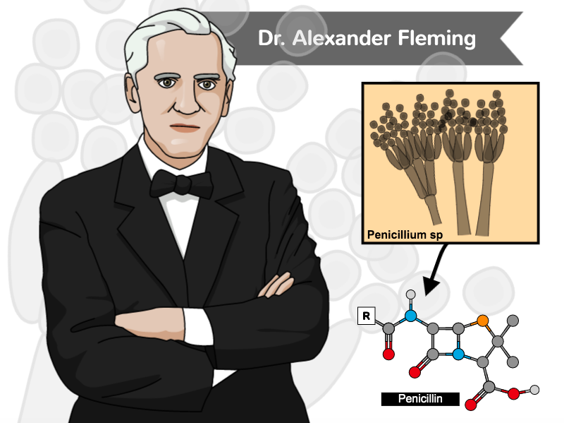 Vědecké ilustrace z mikrobiologie Dr. Fleminga