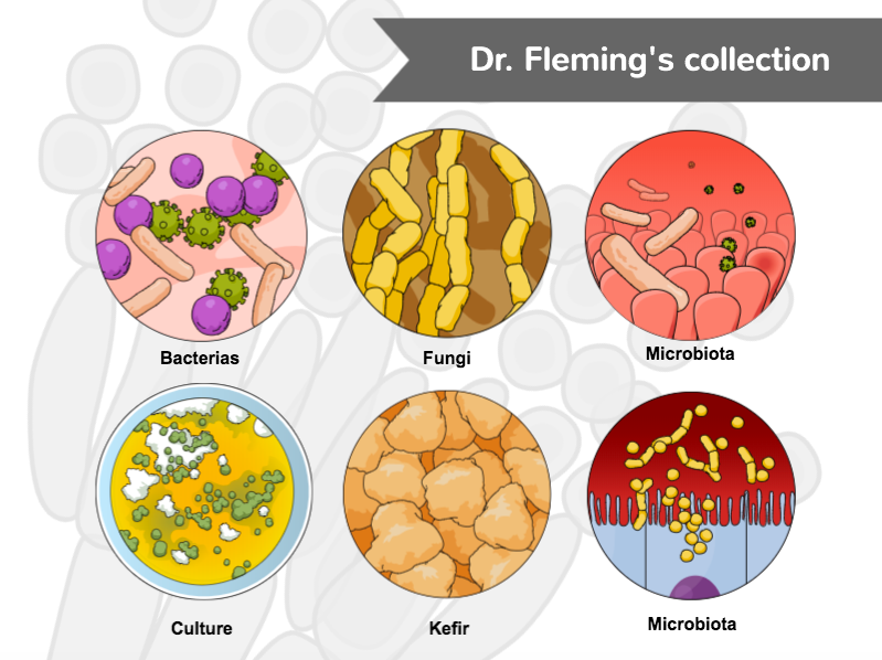 Dr. Flemings Microbiology Scientific Illustrations