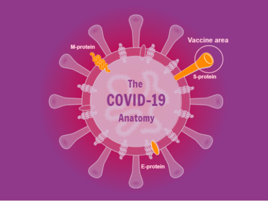Coronavirus Covid-19 infection