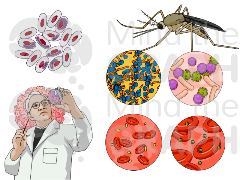감염학 과학 삽화 #37