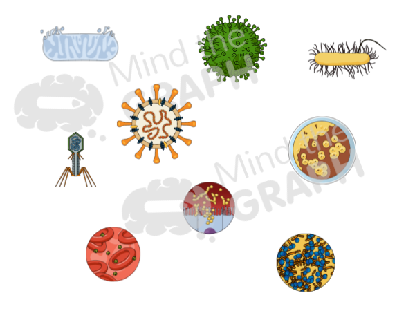 Илюстрации на микробиологията в Mind The Graph